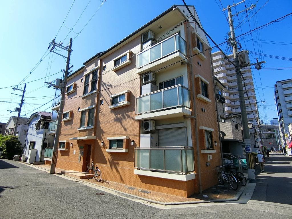 Prunus　court