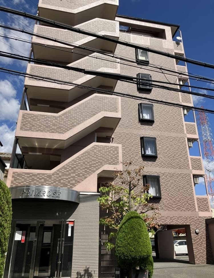 PRIMROSE(プリムローズ)