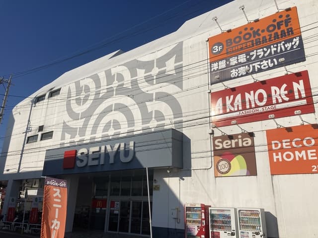 シャンポール大針