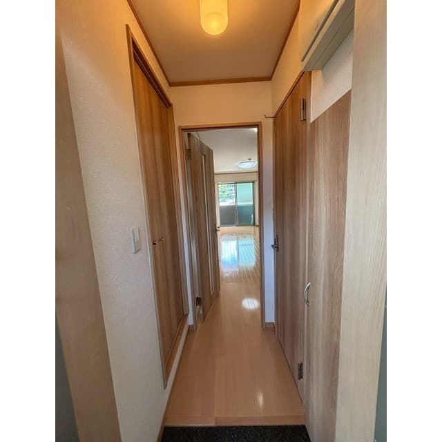 アンプルールフェール樹