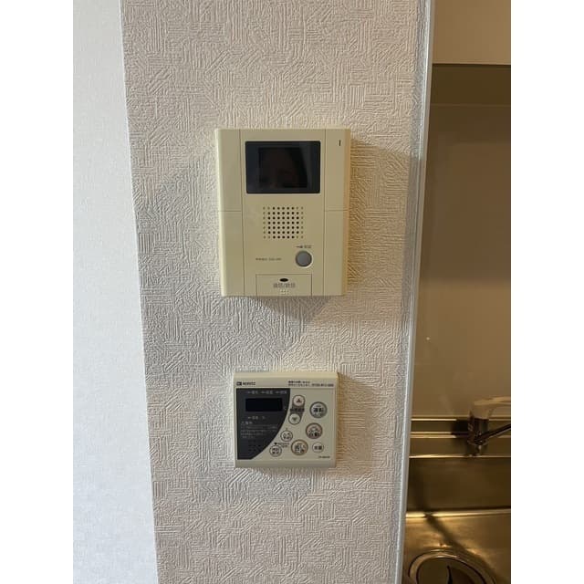 アンプルール フェール ベルツリー