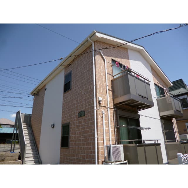 アムール 藤