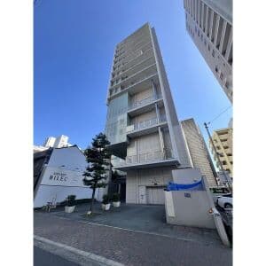 IZUMI1(イズミワン)