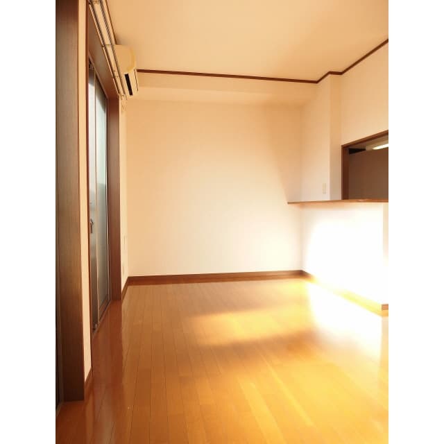 アムール MAYA