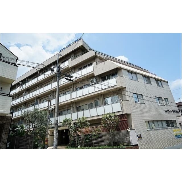 ステラ　コート　大山