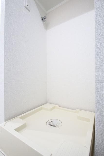 ReSAM蕨
