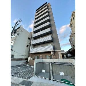 エヌエムキャトフヴァンユイット