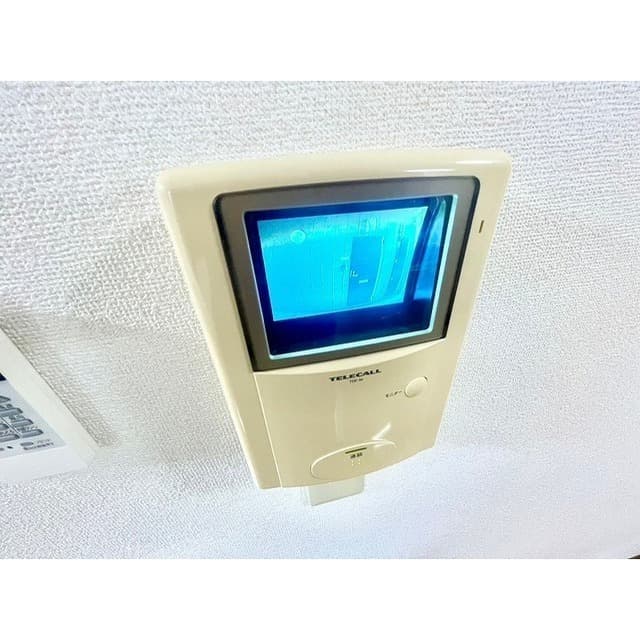 アンプルール フラーリッシュ