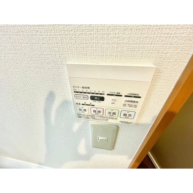 アムール　レオ