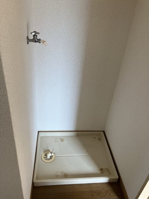 カワセミ
