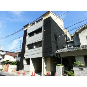 エヌエムキャラントサンクノース