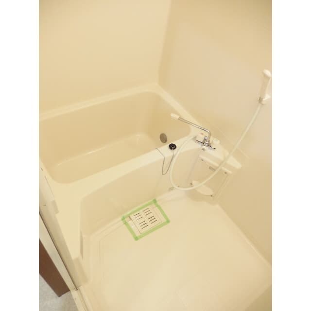 アンプルール フェール ベルツリー