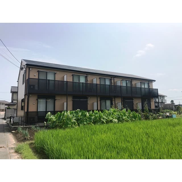 アンプルール リーブル YAMAHATA