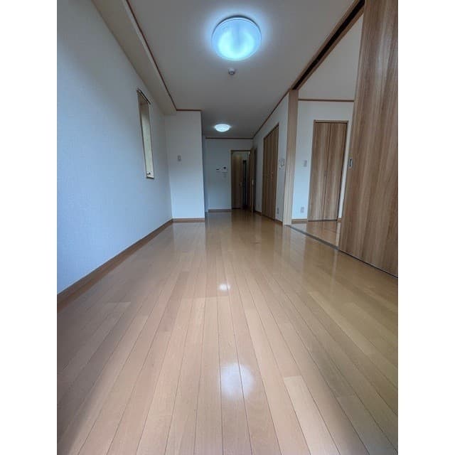 アンプルールフェール樹