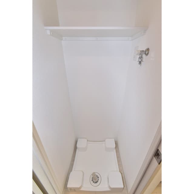 アドバンス天王寺南パキラ