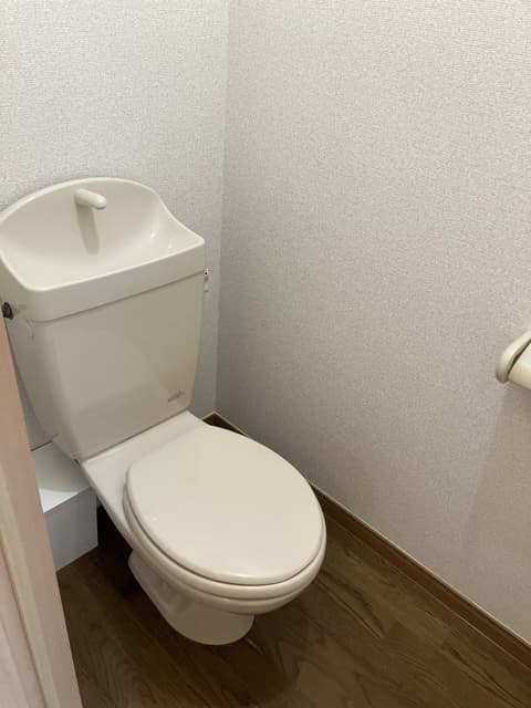 カワセミ