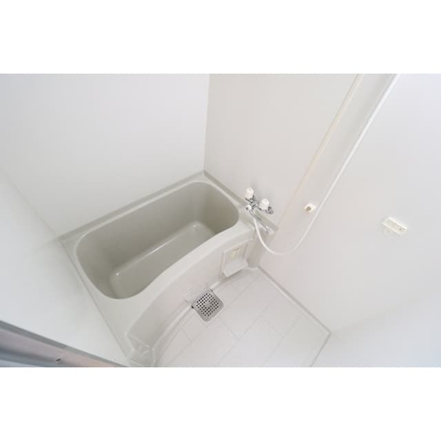アムール Gフォレスト