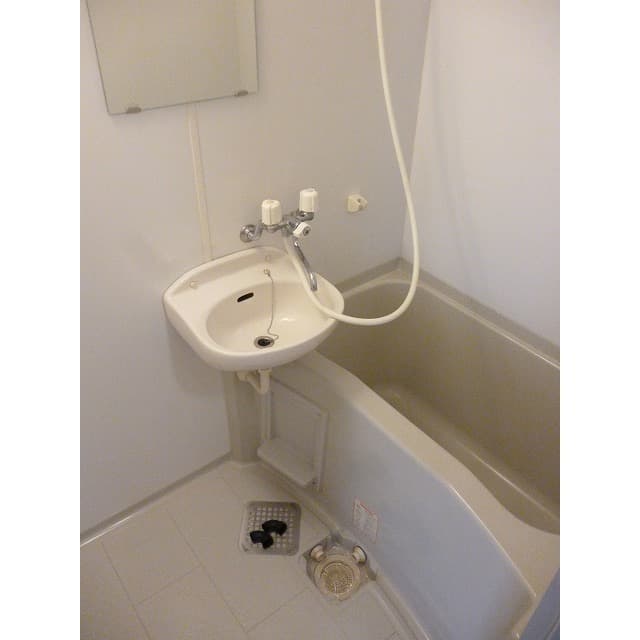 アムール 琴