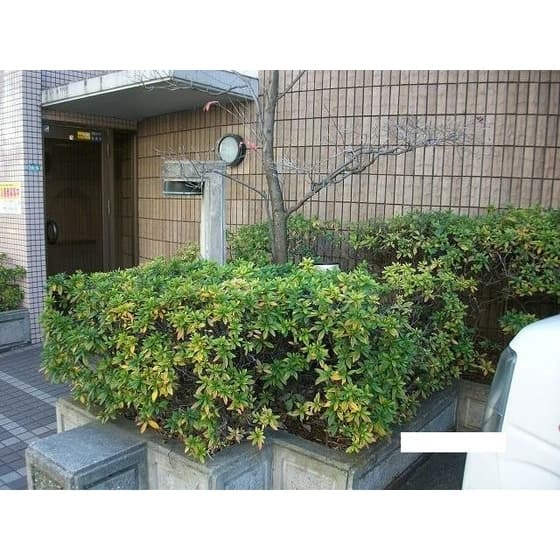 BI　CASTLE　NAKANO