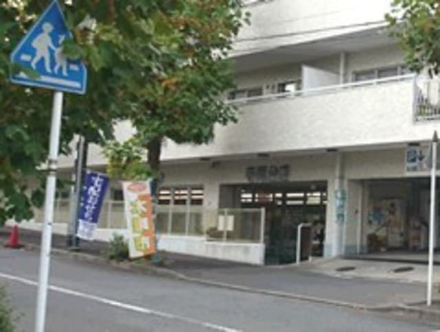 モンステラ寺尾台