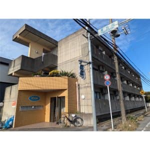 東五所　MAIO