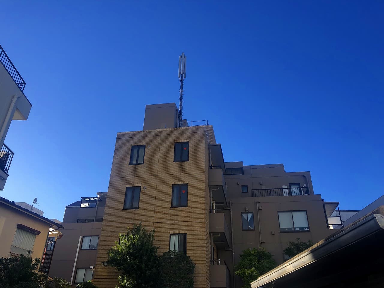 ローズガーデン池尻