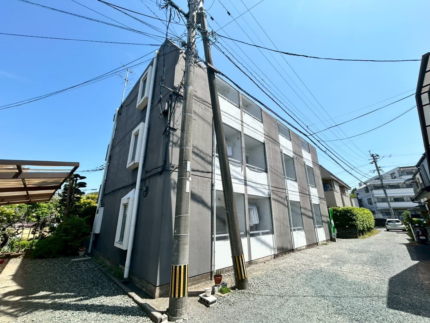 サングラッド黒髪