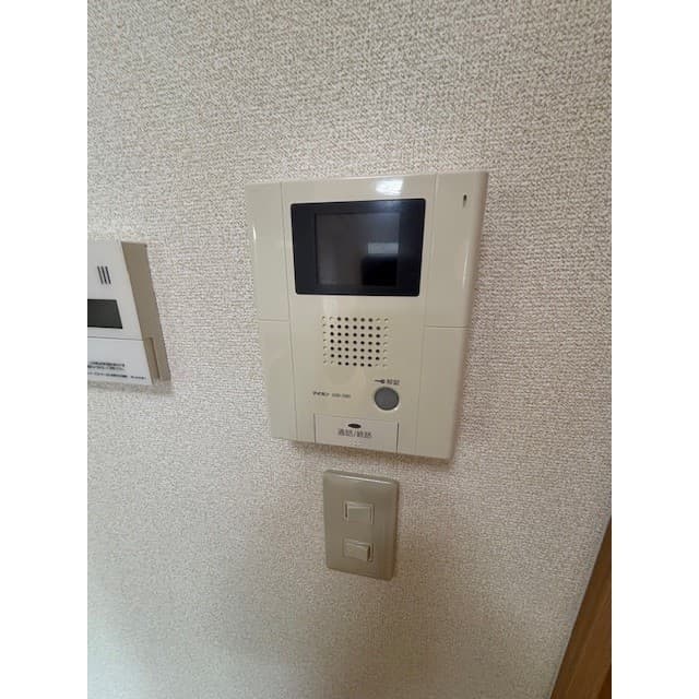 アンプルールフェール樹