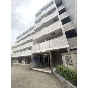 ラ・パルフェド・ルミナス