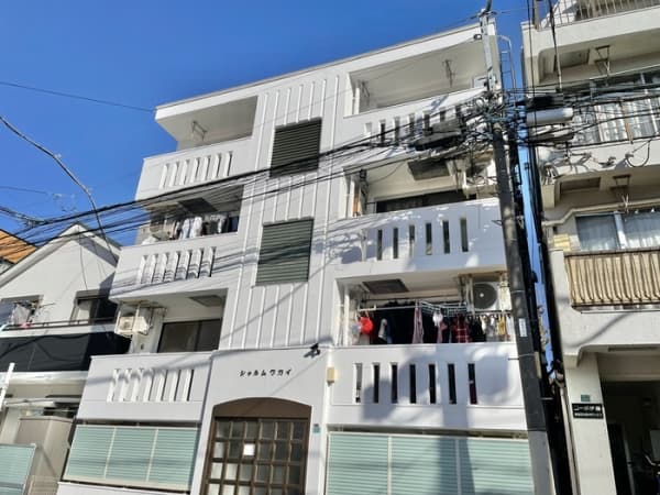 シャルム　ワカイ