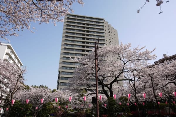 小石川パ-クタワ-