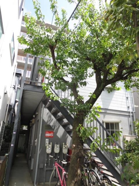 雅ハイツ