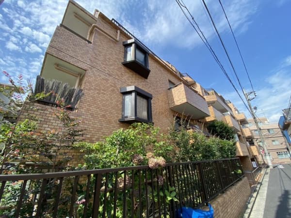 ﾍﾟｶﾞｻｽﾏﾝｼｮﾝ石神井公園(502)