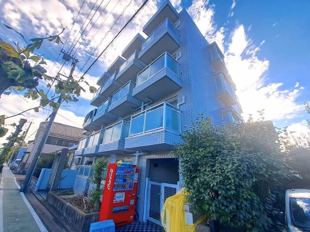 グレースランド・ワラビ