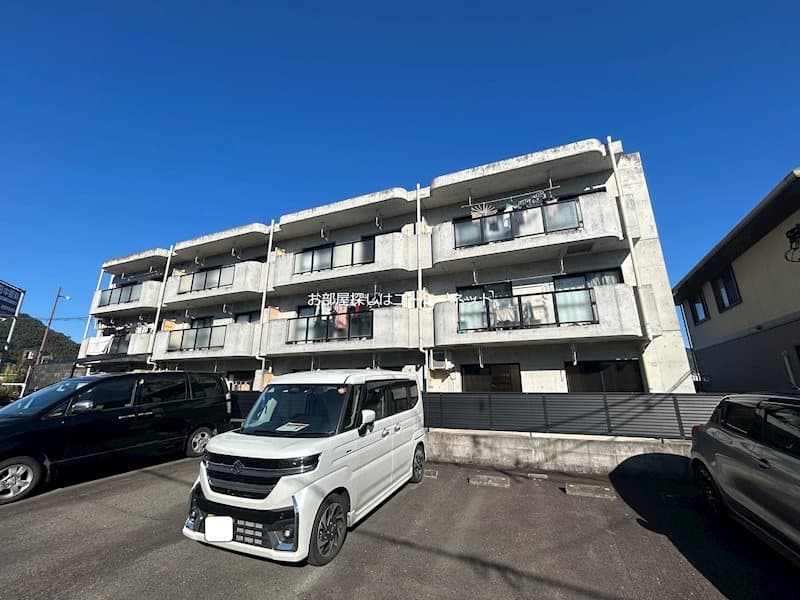 クリザンテーム