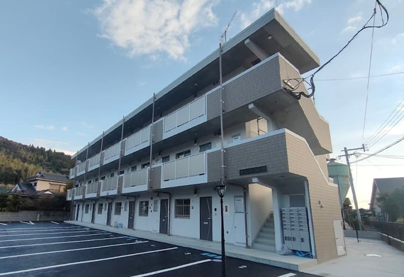 Sunflower Maple 平松