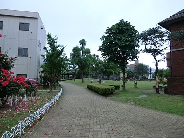 Property
