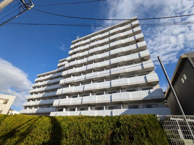 アレックス日乃本