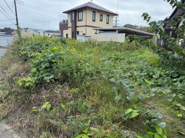 Property