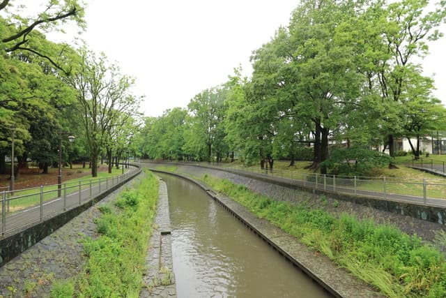 バンブーガーデン