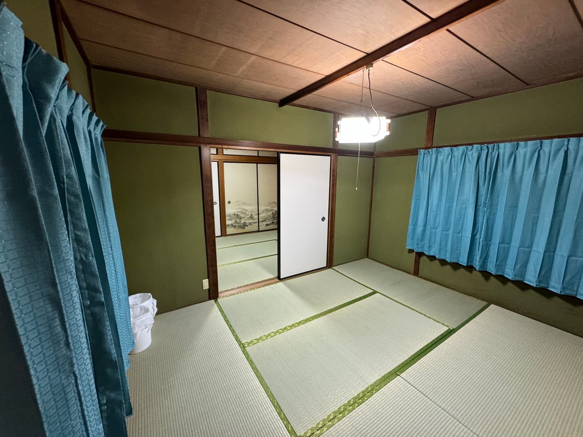 ハマノトキワ