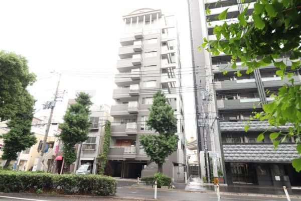 ビッグフォレスト兵庫